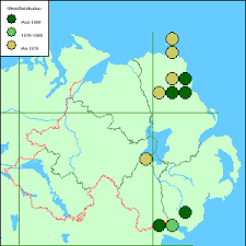 Attēlu rezultāti vaicājumam “Hammarbya paludosa fruit”