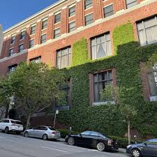 Image result for bohemian club