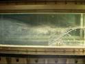 Flow detachment in hydrodynamic water tunnel - ONERA's Science ...