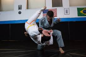 Image result for Brazilian-martial arts