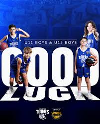 Image result for Everton Tigers Basketball Club