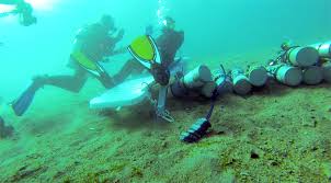 Image result for World Divers