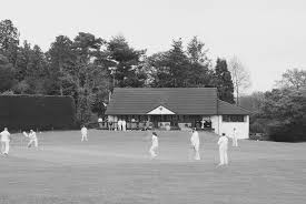 Image result for Redlynch and Hale Cricket Club