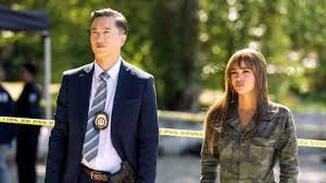 Image result for Wild Cards