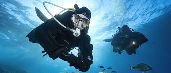 Image result for Darwen Snorkelling Club