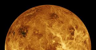 Image result for venus