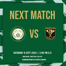 Image result for Chipstead Fc