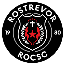 Image result for Rostrevor Hurling Club