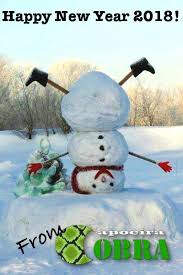 Image result for Cobra Capoeira Kids Club