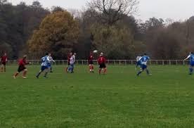 Image result for Shalford F C
