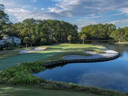 Image result for Dolphin Badminton Club