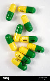 Attēlu rezultāti vaicājumam “Pachyphloeus melanoxanthus”