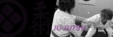 Image result for Ryuko Dojo