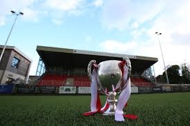 Image result for Dorking Football Club Limited