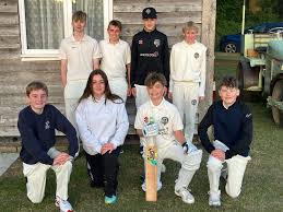 Image result for Bradenham Cricket Club