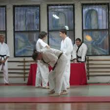 Image result for Martial Art Centre of Excellence