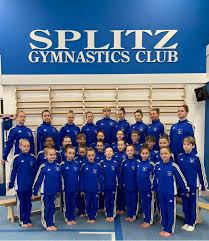 Image result for South Western Gymnastics Club