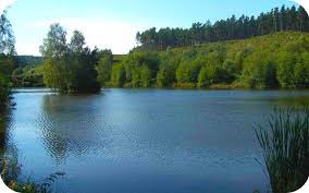 Image result for Cannock Cc