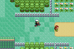 Image result for Sapphire Acro