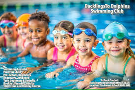 Image result for Grimsby Alexander Dolphins Swimming Club