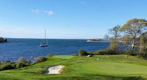 Image result for Falmouth and Helston Octopush Club