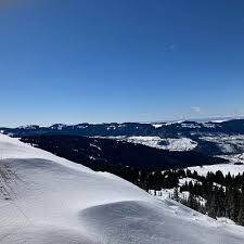 Image result for mountain top seashell