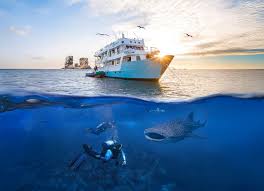 Image result for Deep and Wide Diving