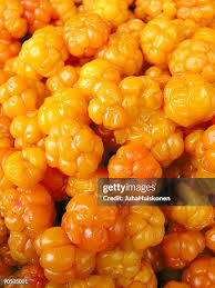 Attēlu rezultāti vaicājumam “Rubus chamaemorus fruit”