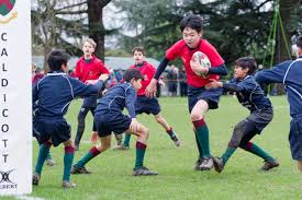 Image result for Caldicot Junior  & Mini Rugby Club