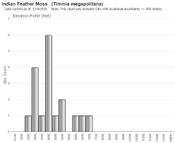 Attēlu rezultāti vaicājumam “Timmia megapolitana”