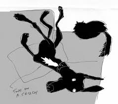 Attēlu rezultāti vaicājumam “Lycogala alisaulianovae young”