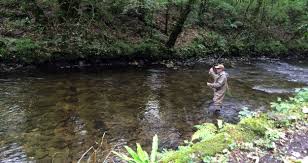 Image result for Bexleyheath and District Sea Angling Society