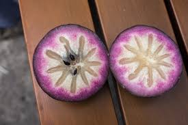 Attēlu rezultāti vaicājumam “Chrysosplenium alternifolium fruit”