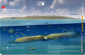 Image result for 3D Diving Club