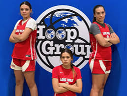 Image result for Davison Badminton Club