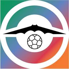 Image result for Gotham Soccer League