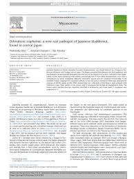 Attēlu rezultāti vaicājumam “Ochropsora ariae spores”