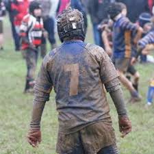 Image result for Truro Rfc