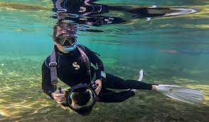 Image result for Dive Crew Scuba Diving
