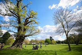 Image result for Downshire Golf Complex