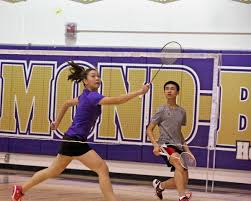 Image result for Addison Exiles Badminton Club