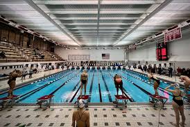 Image result for Exeter Waterpolo and Swimming Club