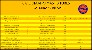 Image result for Caterham Pumas Fc