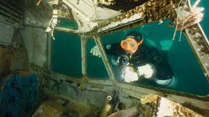 Image result for TAL Divers