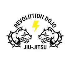 Image result for Revolution Dojo