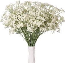 Attēlu rezultāti vaicājumam “Gypsophila paniculata bud”