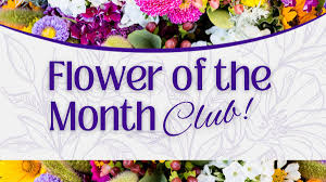 Image result for The Broomfield Club