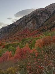 Image result for $$fall_akte__ort$$