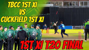 Image result for Three Bridges Cricket Club