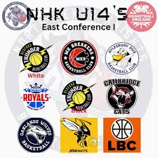 Image result for Aylesbury Dux Basketball Club
